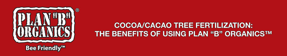 cocao guide